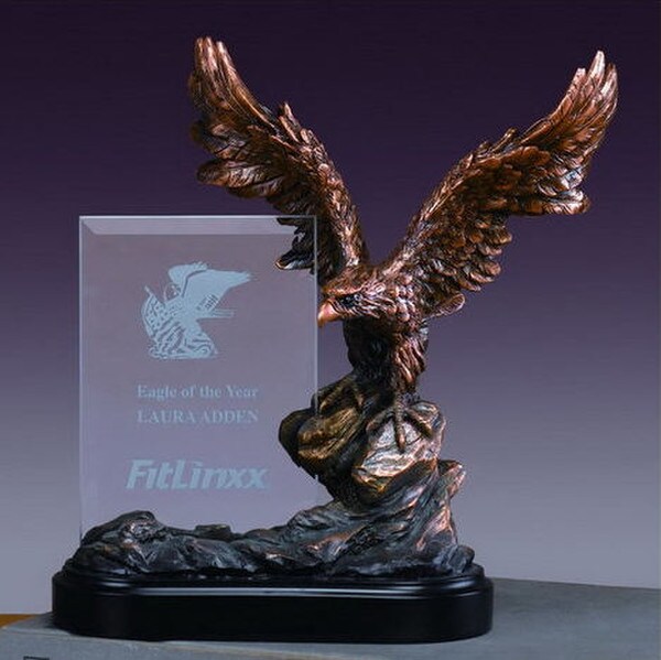 Glass Imprint Eagle Frame awards trophies the glass may be sandblasted Engraved